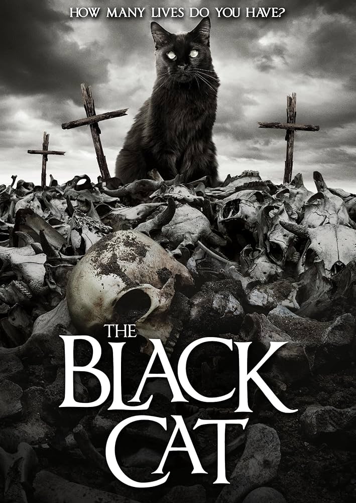 The Black Cat