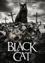 The Black Cat